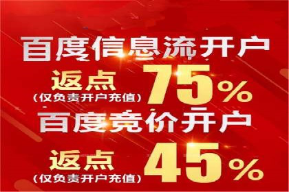 竞价推广实战：经典案例深度解析